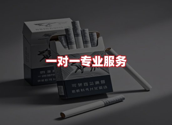 专业团队